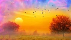 a painting of trees and birds flying in the sky over a foggy field at sunset