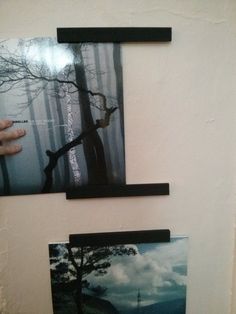 three pictures are hanging on the wall next to each other, one is holding a tree