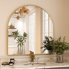 a bathroom sink under a large mirror next to a potted plant