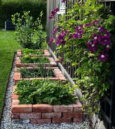 an outdoor garden with flowers and plants growing in it