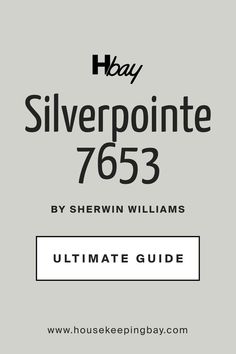 Silverpointe SW 7653  by Sherwin-Williams. The Ultimate Guide Sw Silverpointe, Sw Crushed Ice, White Interior Paint, Sherman Williams, Ice Painting, Sherwin Williams Color Palette, Best Exterior Paint, Sherwin Williams Gray, Mindful Gray