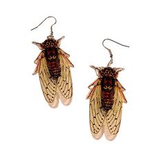 realistic cicada earrings boogzel clothing Indie Accessories, Cicada Jewelry, Cicada Earrings, Transparent Wings, Accessories Y2k, Insect Earrings, Cicada Necklace, Real Insect Jewelry, 90's Aesthetic