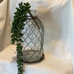 a glass vase with green plants in it on a white cloth covered tableclothed surface