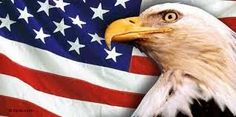 an eagle with the american flag behind it's head, looking to its left