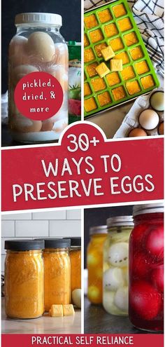 jars filled with different types of food and text that reads 30 ways to preserve eggs practical self reliance