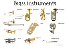 various types of brass instruments are shown in this image with the words brass instruments below them