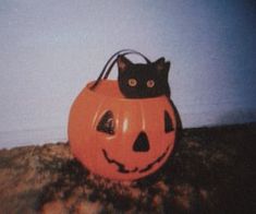 a black cat sitting on top of a pumpkin shaped bag that has been carved to look like a jack - o'- lantern