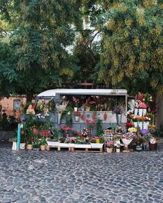 a food truck parked on the side of a cobblestone road filled with potted plants and flowers