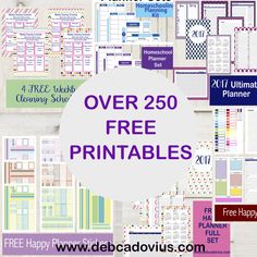 over 250 free printables for plannering and organizing with the text over it