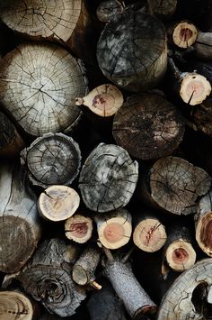 the wood is cut up and ready to be used for firewood burning or remodeling