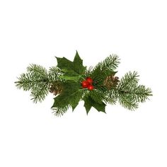 holly with red berries and pine cones on white background