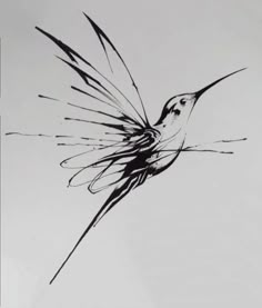 a black and white photo of a bird flying in the sky