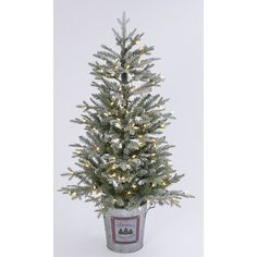 a small christmas tree in a pot with lights on the top and bottom part of it