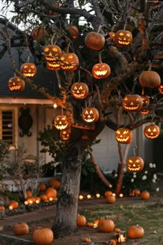 pumpkins are lit up on the branches of a tree in front of a house