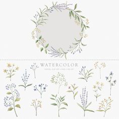 watercolor flowers and leaves on a white background with the words watercolor written below