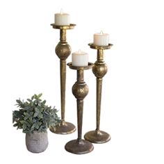 three brass candlesticks and a potted plant on a white background with clipping for text