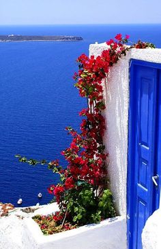 an open blue door on the side of a building with flowers growing out of it