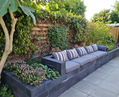 a couch sitting in the middle of a garden next to a wall with plants growing on it