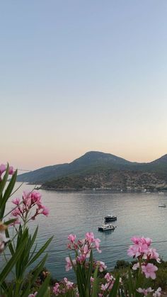 boats are floating in the water near some mountains and flowers with pink flowers around them