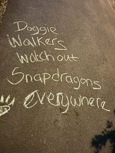 some writing on the pavement that says dogs are walkers watch out snap dragon's evening