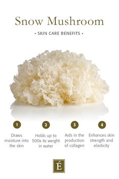 the benefits of snow mushroom for skin care