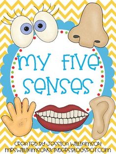 a poster with the words, my five sensess and two hands in front of it