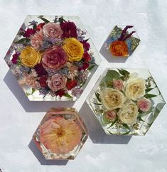 three hexagonal vases filled with different colored flowers