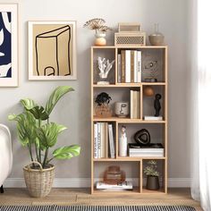 a living room with bookshelf, plant and pictures on the wall