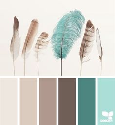 the color scheme is teal, brown, and white with some feathers on it