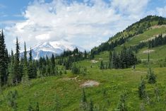 there is a mountain in the distance with trees around it and people walking on the grass