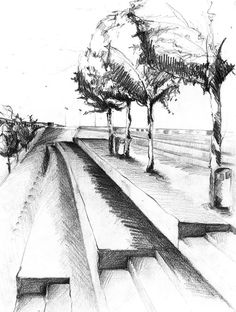 a pencil drawing of some trees on the side of a train track with another tree in the distance