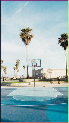 an empty basketball court with palm trees in the background