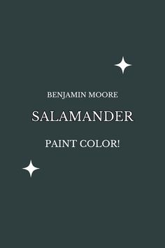 a black background with white stars and the words salamander paint color on it