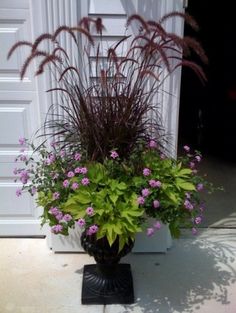 a potted plant with purple flowers in front of a garage door