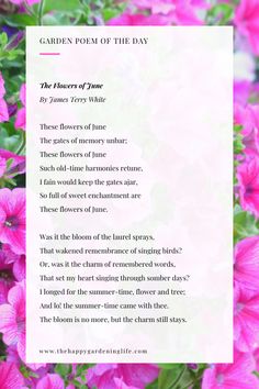 pink flowers with the poem garden poem of the day written in white text on it