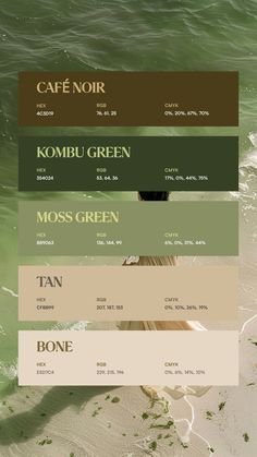 Colors:
4C3D19
354024
889063
CFBB99
E5D7C4 Pear Green Color Palette, Light Green Color Pallete, Green And Off White Color Palette, Colour Palette For Portfolio, Cute Green Color Palette, Nature Aesthetic Color Palettes, Cute Colour Palette Aesthetic, Academic Colour Palette, 80s Neon Color Palette