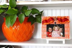 a potted plant sitting on top of a white shelf next to an orange vase