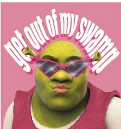 Shrek Tapestry, Get Out Of My Swamp, Funny Shrek, Pink Tapestry, Funny Tapestry, Hd Print, Tapestry Wall, Funny Meme