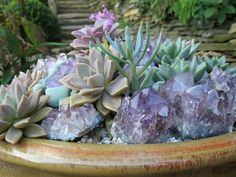 a potted plant filled with lots of purple rocks and succulents in it