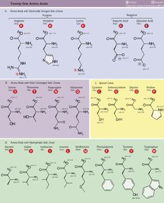 three different types of chemical structures are shown in this diagram, and each one is labeled with