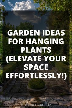 the words garden ideas for hanging plants elevate your space effortlessly