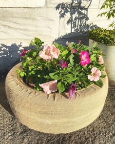 pink and purple flowers are in a round planter