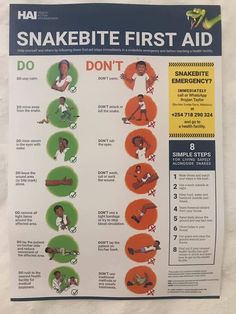 'Great First Aid for Snakebite poster produced by Health Action International.'AFRICAN SNAKEBITE INSTITUTE First Aid For Burns, Snake Bite, Snake Bites, Medical Scrubs, Cpr, Science And Nature