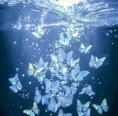 many blue butterflies floating in the water with bubbles on their backs and back, as if they were underwater