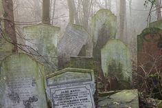 an old cemetery with headstones and trees in the background on a foggy day