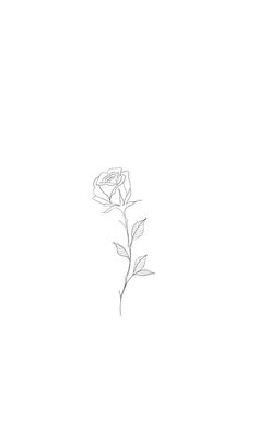 a drawing of a single rose on a white background