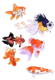 four different colored fish are shown in this drawing style, including one goldfish and the other orange