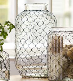 three glass jars with rocks in them on a table next to a potted plant