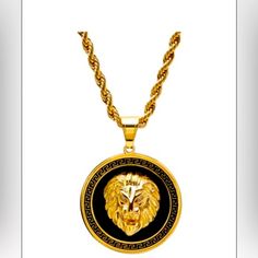 Retails $130, New And Stylish, 18k Yellow Goldplated Stainless Steel Luxury Gold-plated Rope Chain Jewelry, Luxury Rope Chain Jewelry For Gift, Yellow Gold Medallion Necklace With Rope Chain, Luxury Rope Chain Pendant Jewelry, Luxury Formal Rope Chain Jewelry, Luxury Round Rope Chain Necklaces, Gold-tone Rope Chain Jewelry For Formal Occasions, Luxury 14k Gold Necklace With Rope Chain, Formal Rope Chain Pendant Jewelry