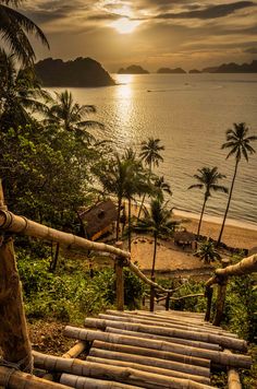 stairs leading down to the beach with palm trees on both sides and sunset in the background